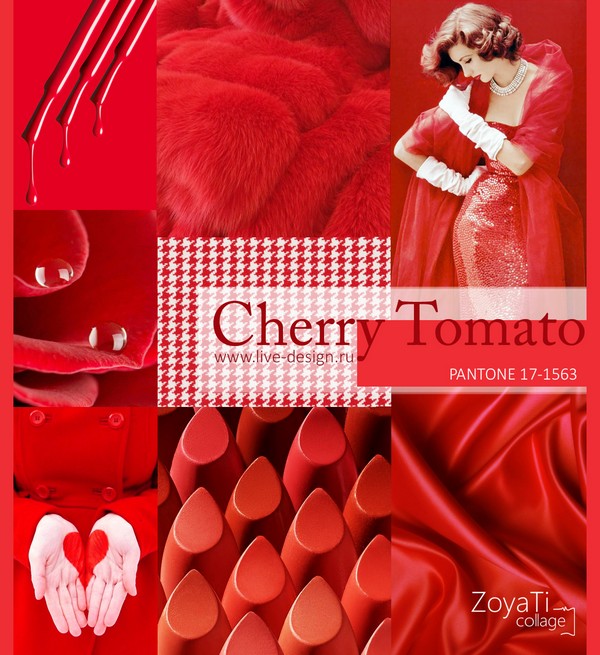 Cherry-Tomato1.jpg