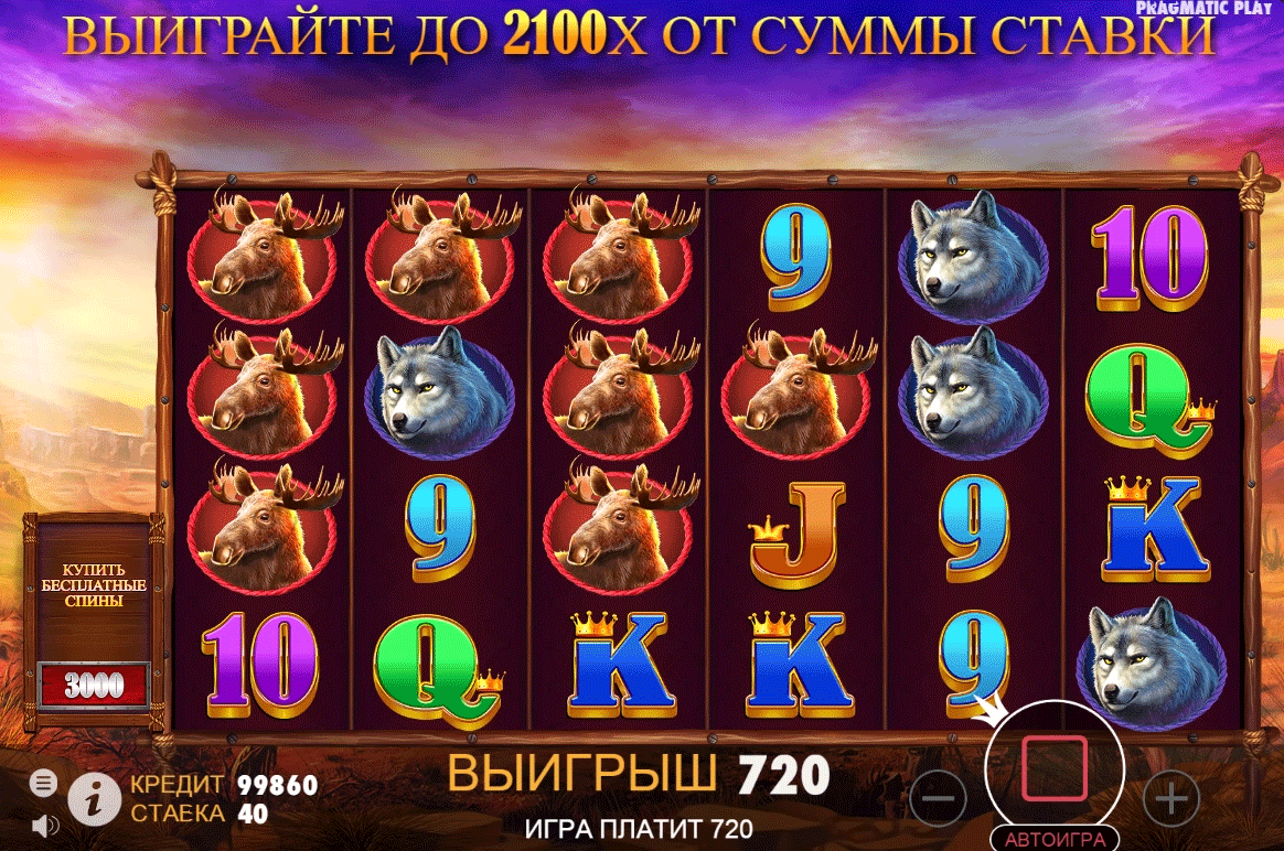 xasi3.png