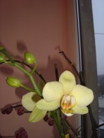 DSC02503.JPG