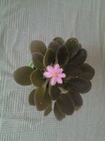 20150410_114009.jpg