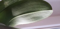 20181001_170906.jpg