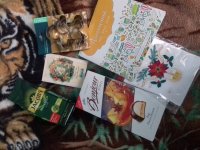 20181227_133720.jpg