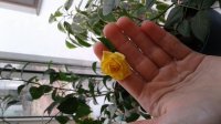20190609_144950.jpg