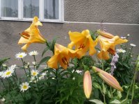 20190629_181700.jpg