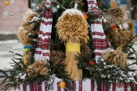 IMG_6770.jpg_pagespeed_ce_GfCq8aB8WR[1].jpg