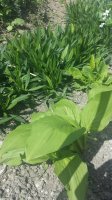 20150509_141946.jpg