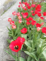DSCN3887.JPG