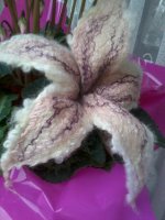 2014-12-17 11.10.07.jpg