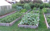 Organicheskoe-zemledelie.jpg