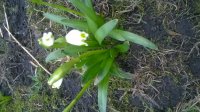 WP_20160306_001.jpg