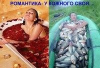 imageHKRC6LQV.jpg