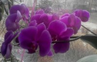 20150223131238-1.jpg