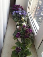 20140926_184133.jpg