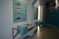 Інтерактивний музей (17).JPG