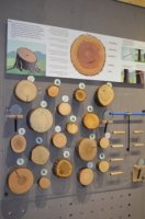 Інтерактивний музей (1).JPG