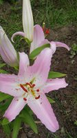 20160716_160221_HDR.jpg
