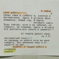 работа.jpg