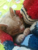IMG_20161001_134833.jpg