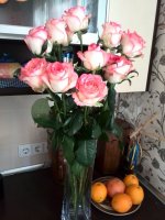 IMG_20161126_151842.jpg