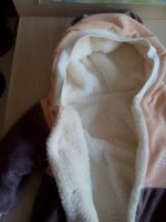IMG_20170213_150921.jpg