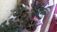 20170227_131329.jpg