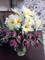 IMG_20170406_215046.jpg