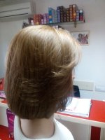 IMG_20170424_104703.jpg