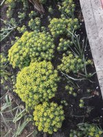 20170430_151246.jpg