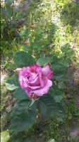 20170609_172613.jpg