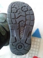 CAM00670.jpg