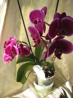 IMG_0094.JPG