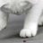 KittiOu